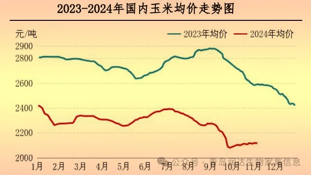 南阳玉米价格最新行情解析