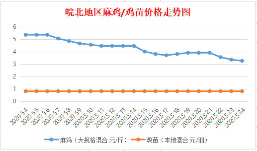 皖北麻鸡价格行情最新分析