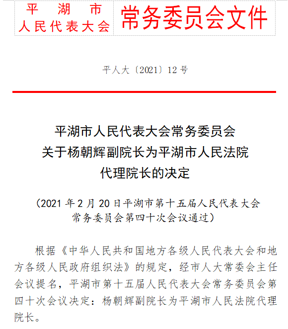 企业变革引领者，最新人事任命与未来发展展望