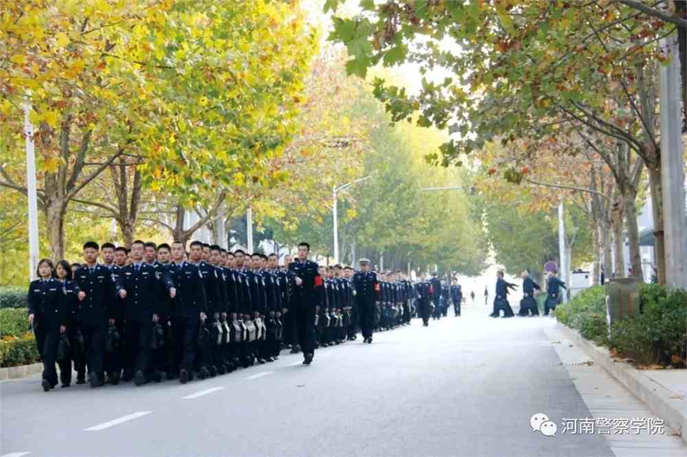 河南警察学院贴吧最新动态揭秘，学院新面貌与学生生活探索