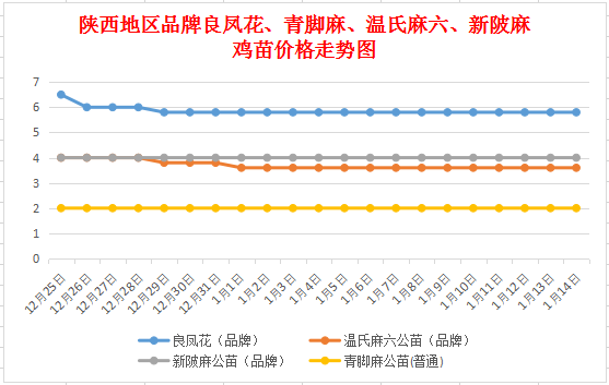 今日817鸡苗最新价格及市场分析概览