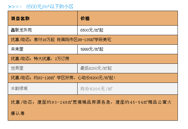 2024年11月19日 第30页