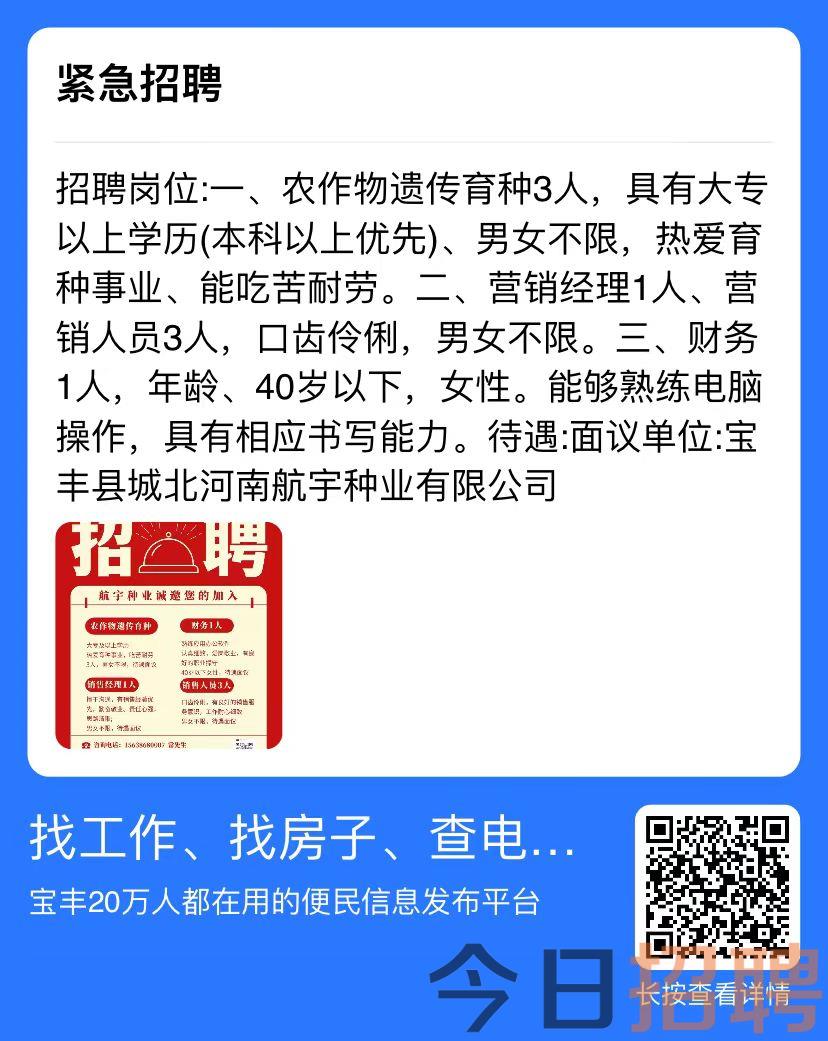 望都急招人才，最新招聘信息汇总，职场精英不容错过！