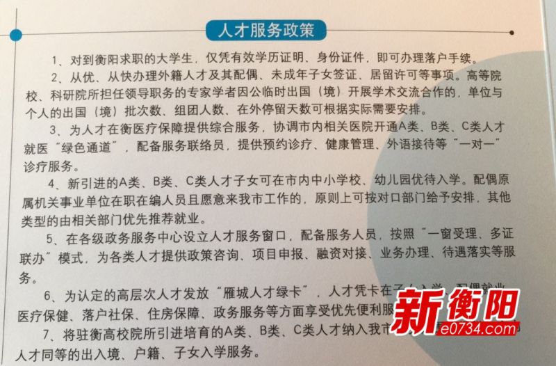 衡阳人才网最新招聘动态深度解析与解读