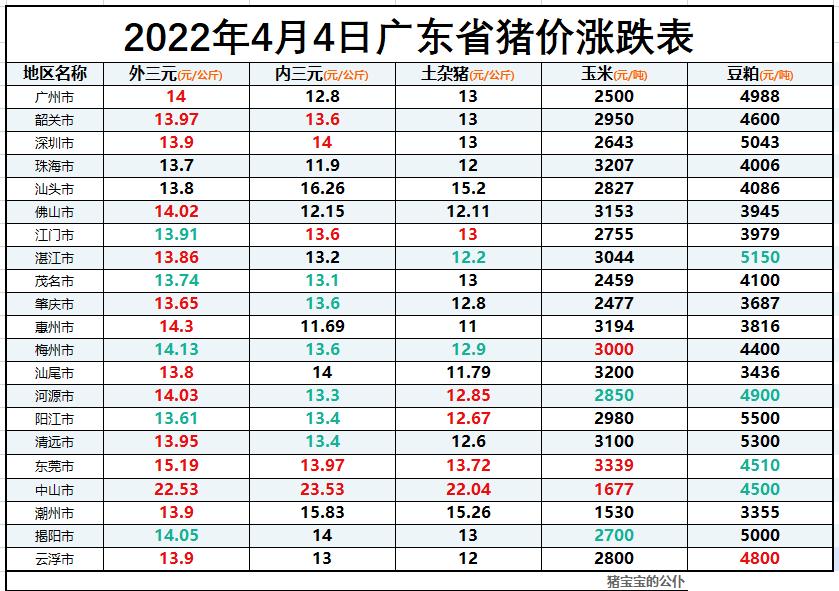 今日猪价走势分析，最新价格动态与展望