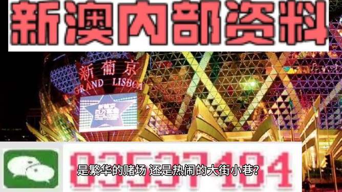 新澳门精准资料大全管家婆料,专业说明解析_HT82.390