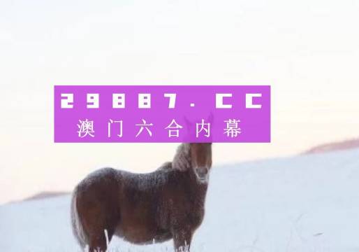 澳门一肖一码伊一特一中,快速设计响应方案_精英款58.455