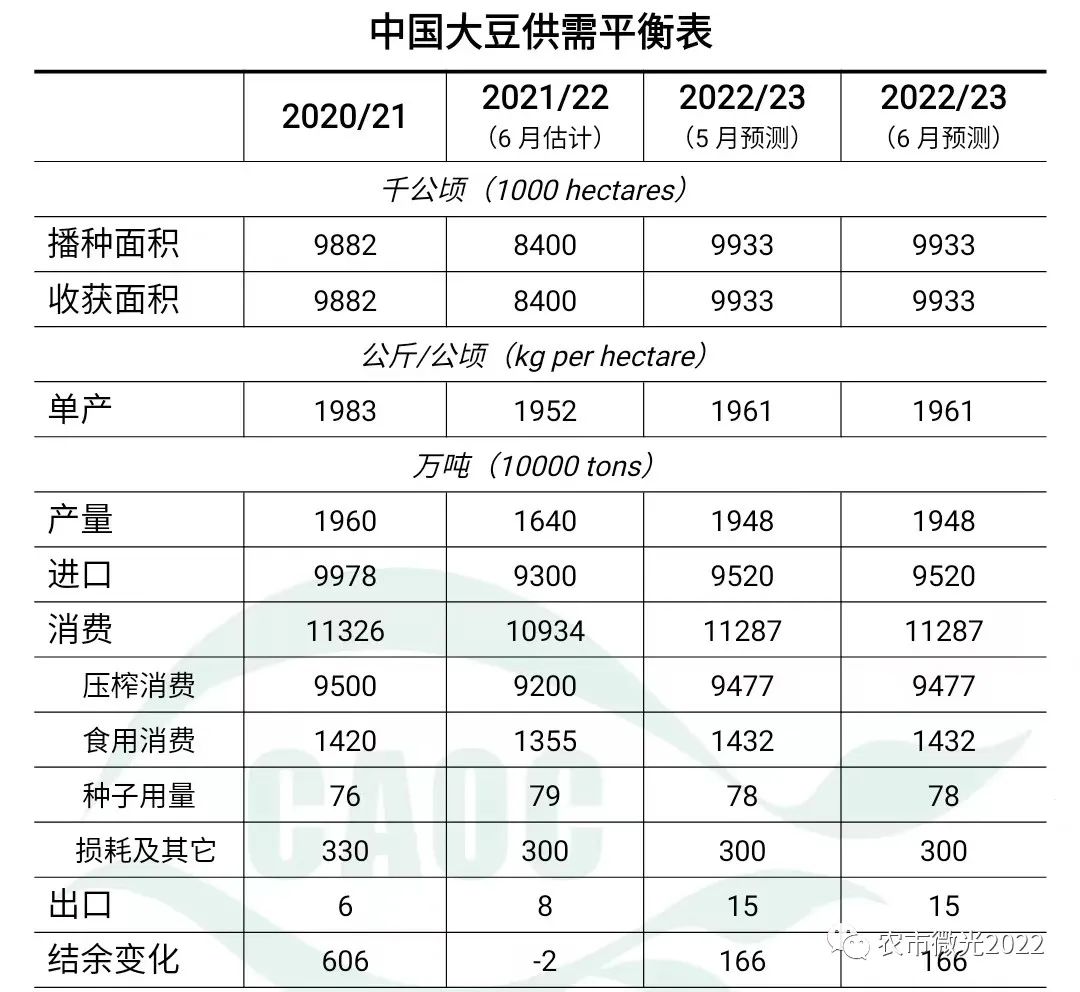 国产大豆最新价格动态解析