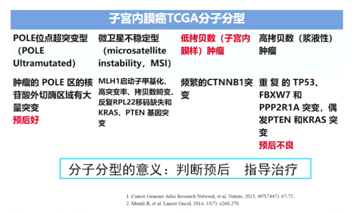 626969澳彩资料大全2022年新亮点,精细评估说明_专家版11.867