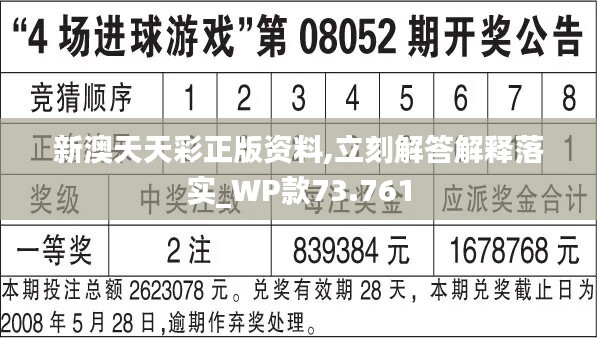 新澳六开彩天天开好彩大全53期,战略性实施方案优化_Holo80.215