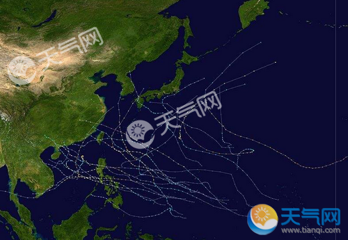 台风网最新消息路径，热带风暴动态与影响深度分析