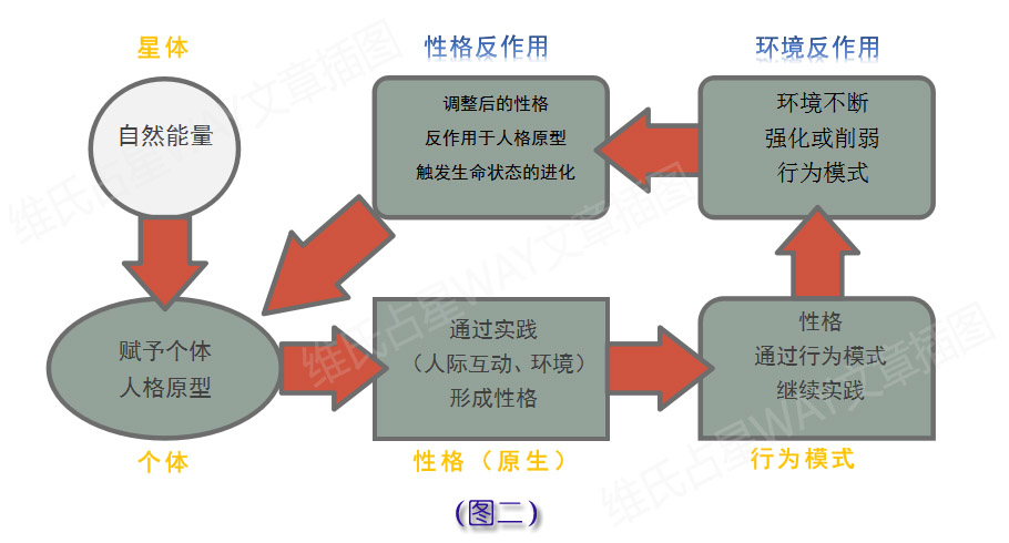 新澳天天彩免费资料,完善的执行机制解析_豪华版95.602