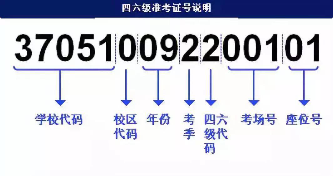 澳门三肖三期必出一期,快速执行方案解答_Deluxe86.319