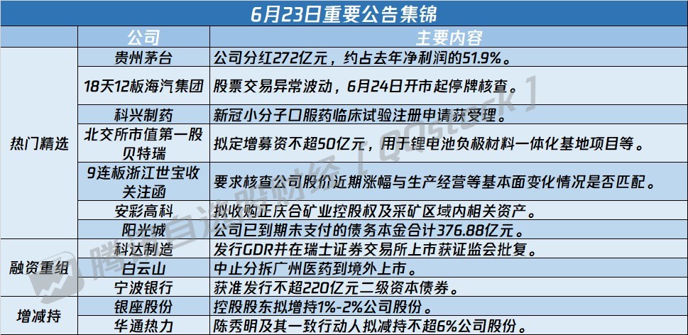 新澳2024正版资料免费公开,持续执行策略_MR43.867