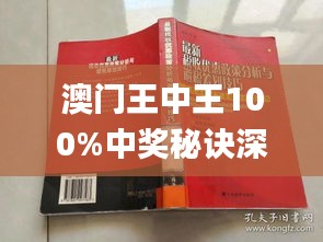 新澳王中王,安全设计解析方案_至尊版41.451