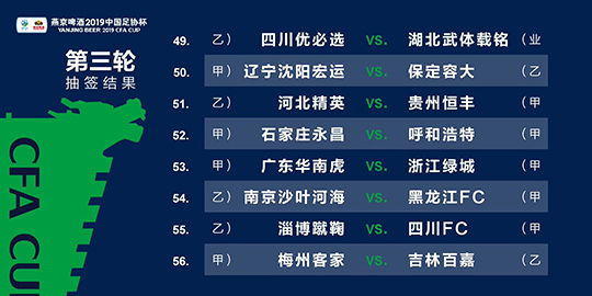 新澳门四肖三肖必开精准,稳定性执行计划_6DM57.139