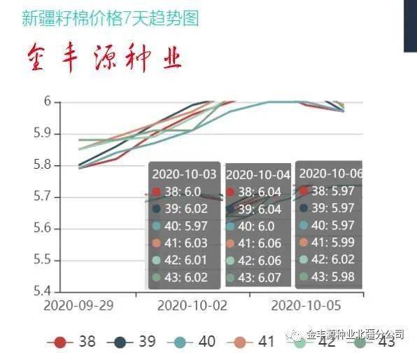 棉籽价格最新行情解析