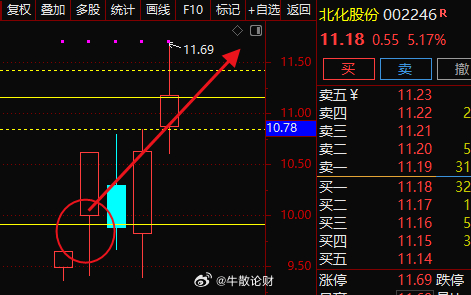 孤狼的吼声 第3页