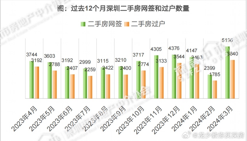 一肖一码一一肖一子深圳,实地执行数据分析_手游版80.430