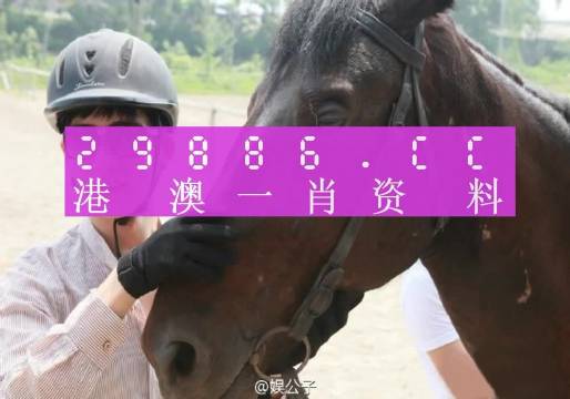 今晚澳门必中一肖一码适囗务目,最新核心解答落实_SE版62.568