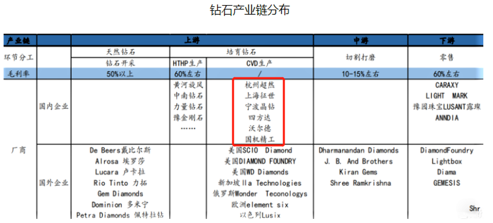 今晚澳门9点35分开什么,全面解答解释定义_suite19.947