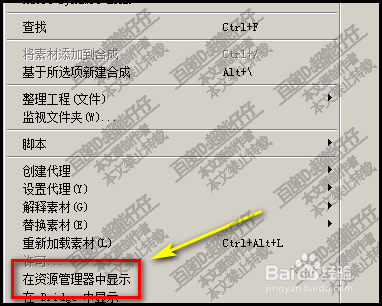 四不像正版资料2024年,高速响应策略解析_娱乐版305.210