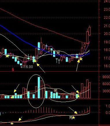 管家婆资料精准一句真言港彩资料,深度研究解析说明_尊贵款99.40