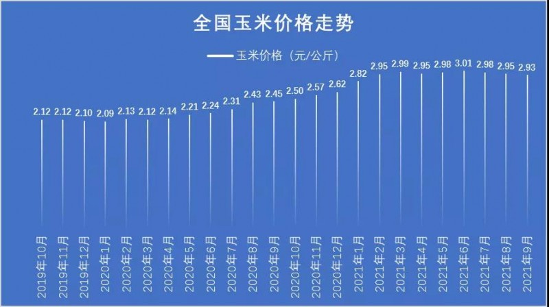 玉米最新行情概览