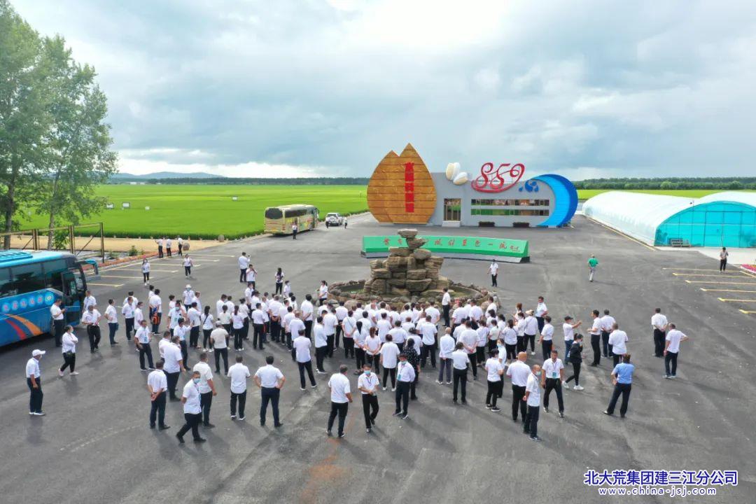 八五一零农场新项目引领农业现代化新风向