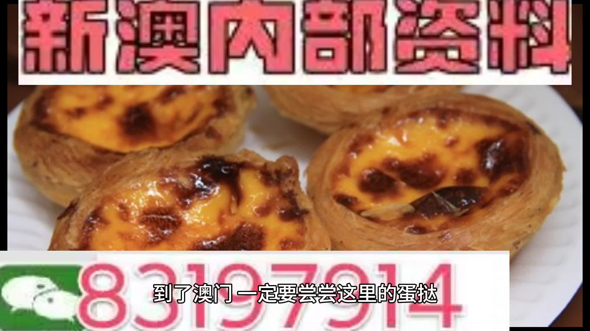 新澳门资料大全正版资料_奥利奥,数据实施导向_GT71.622