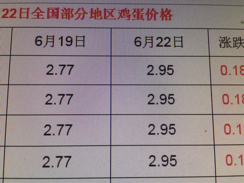 最新鸡蛋价格行情报告解析