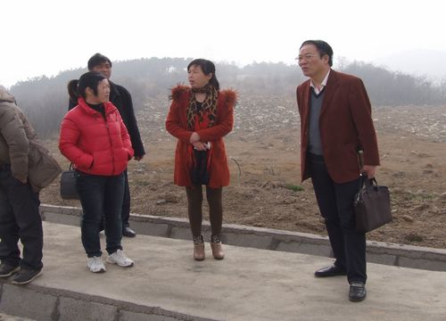 龙凤社区村领导团队，领导理念与行动实践概览