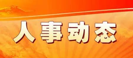 湖北省干部任免动态更新