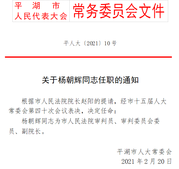 小石村委会人事任命重塑乡村治理格局，未来展望与展望