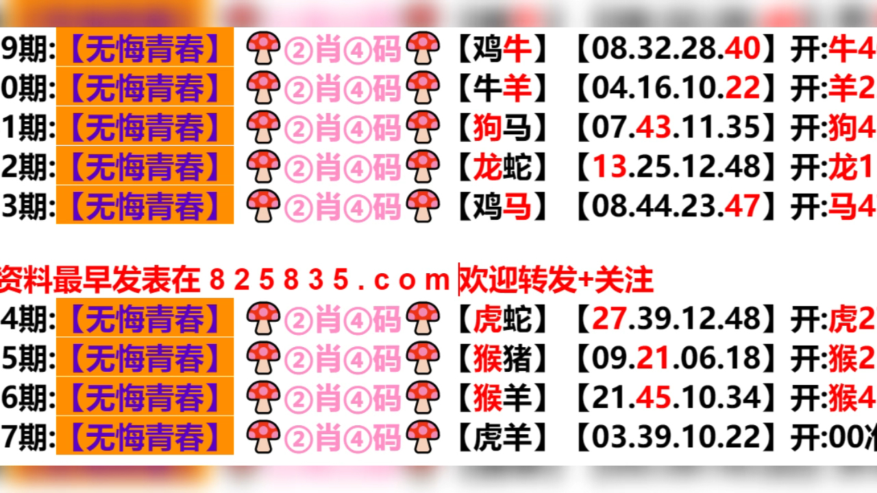 新奥门六开奖结果2024开奖记录,适用设计解析策略_tShop50.566