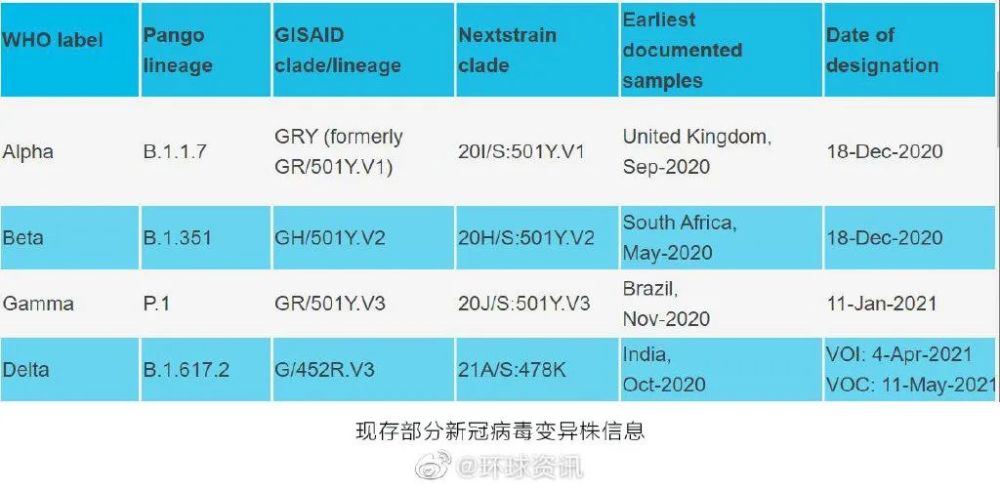 新冠病毒2024年最新消息,广泛的解释落实方法分析_游戏版256.183