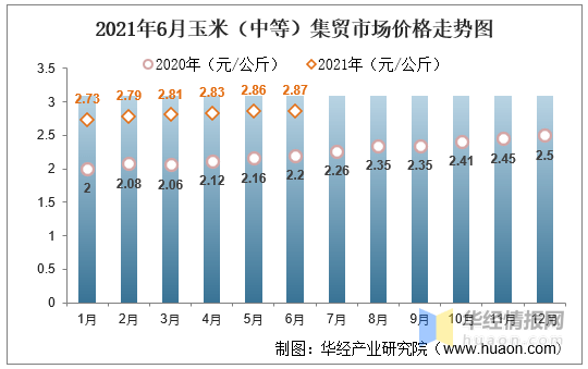 今日玉米价格走势分析，最新动态与趋势展望