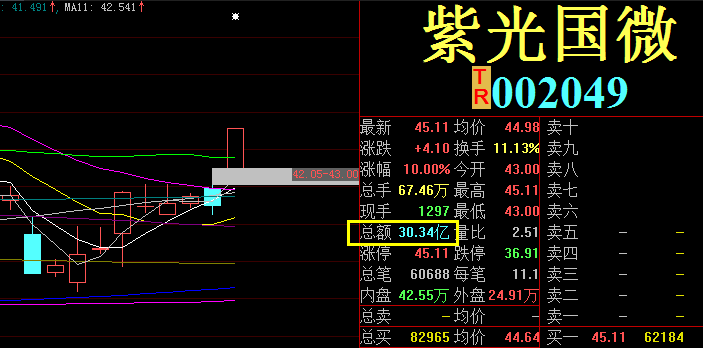 新澳门资料大全免费新鼬,预测分析解释定义_限量款73.463