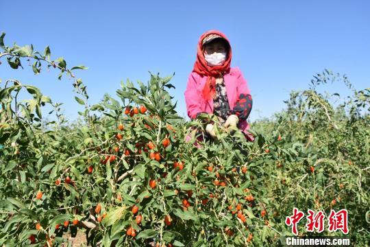 梁湖乡新领导团队引领开启新篇章