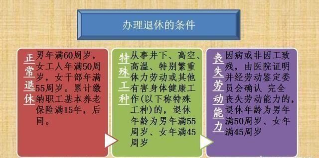 最新女性退休年龄，社会变革与个体发展的交汇点探讨