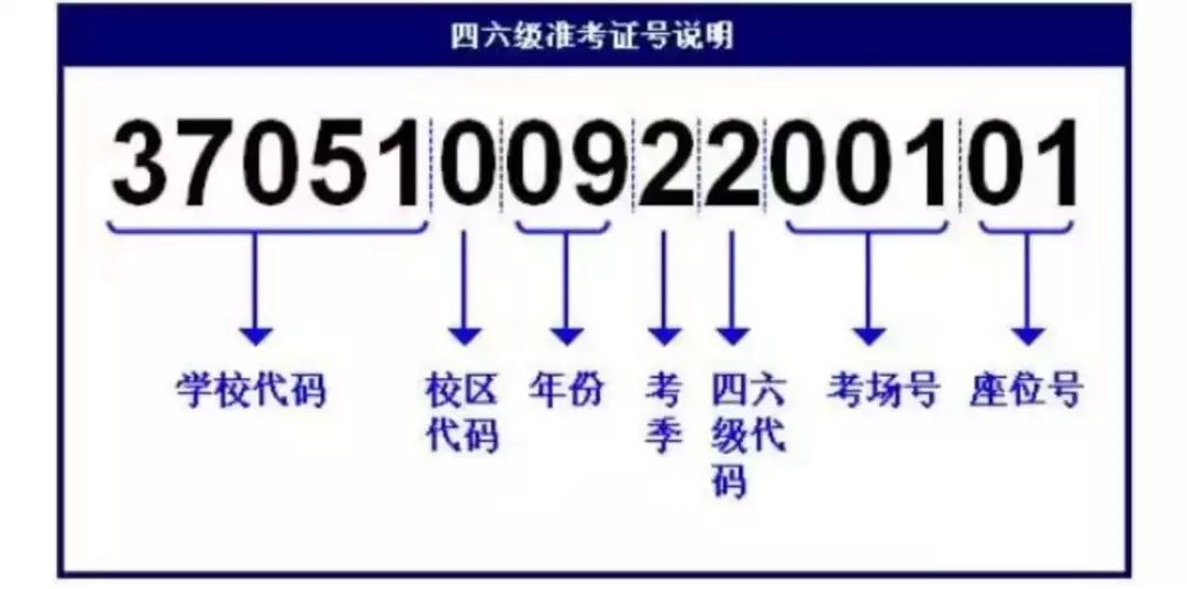 澳门三肖三码三期凤凰网,快速方案落实_D版73.646