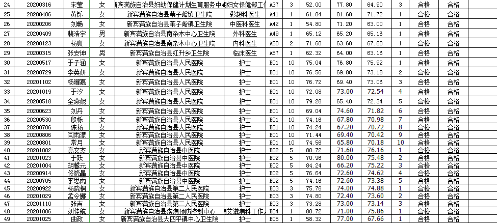 新宾满族自治县审计局招聘启事概览