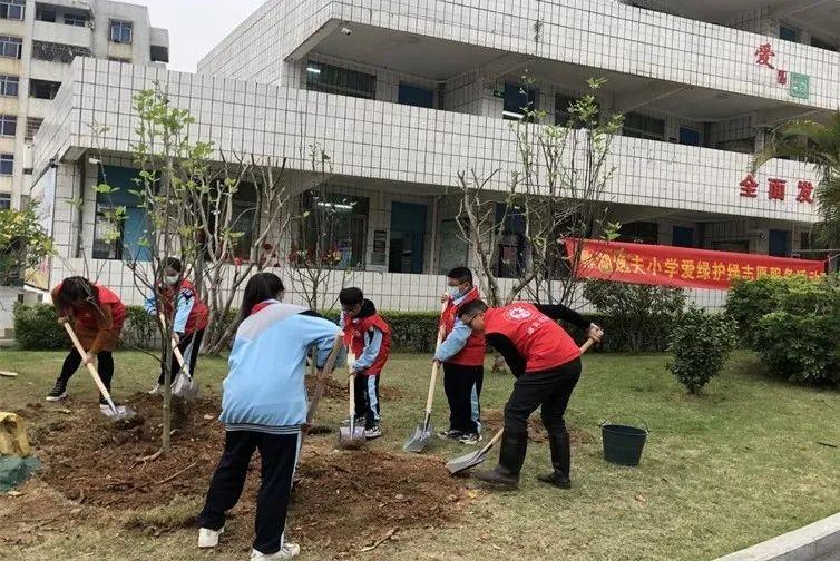 鼎湖区计划生育委员会最新动态新闻