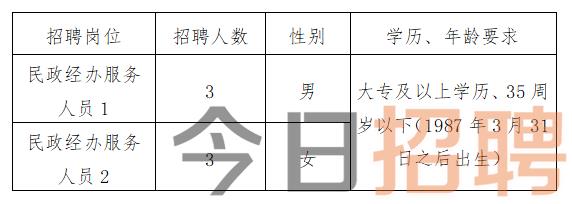 郧县统计局最新招聘公告详解