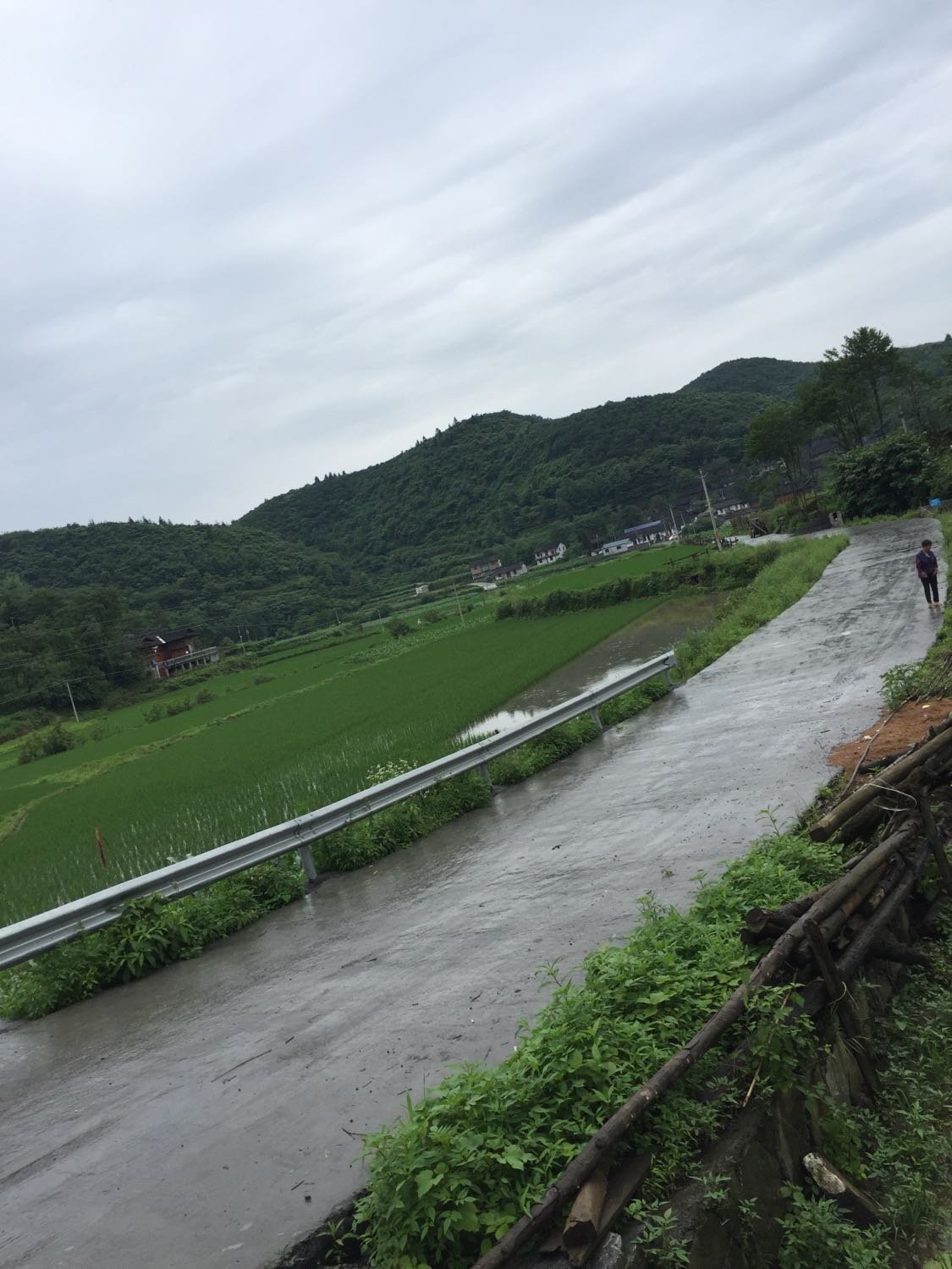 双龙桥村天气预报更新通知