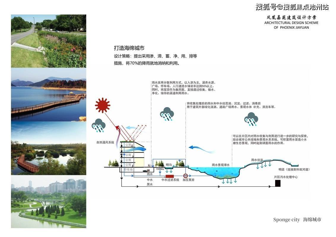 嵊州市数据和政务服务局发展规划，数字化政务新篇章的构建之路