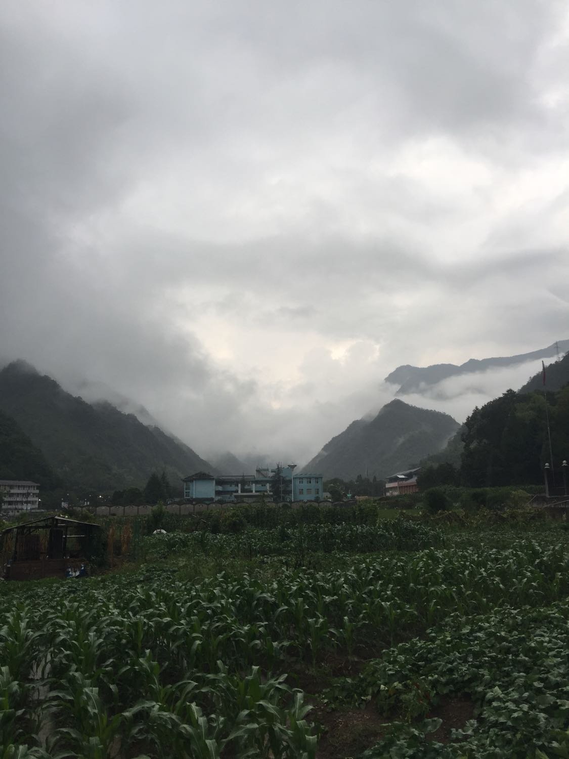 碧涌镇天气预报更新通知