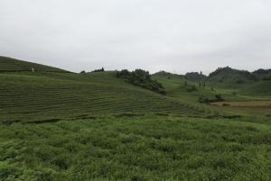 南山华侨茶果场天气预报更新