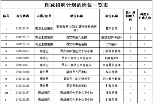 大关县级托养福利事业单位发展规划展望