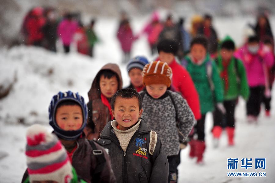 积石山保安族东乡族撒拉族自治县小学最新项目，塑造未来的希望之光